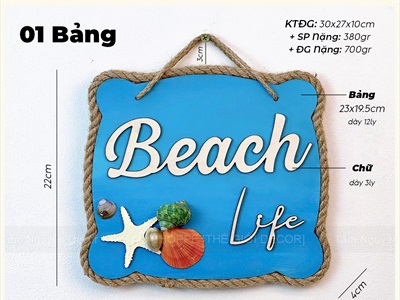 Bảng treo chủ đề biển Beach Life sao sỗ [Dây thừng - Vỏ ốc thật] KT24x22cm BTC-BIEN-04